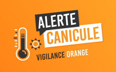 ALERTE CANICULE 2025